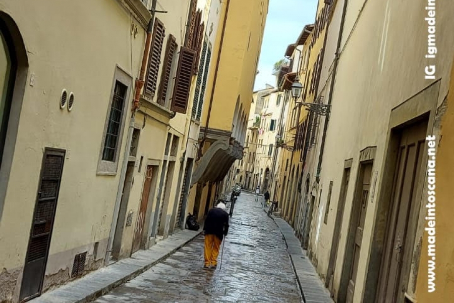 L'Oltrarno di Firenze, Santo Spirito e San Frediano