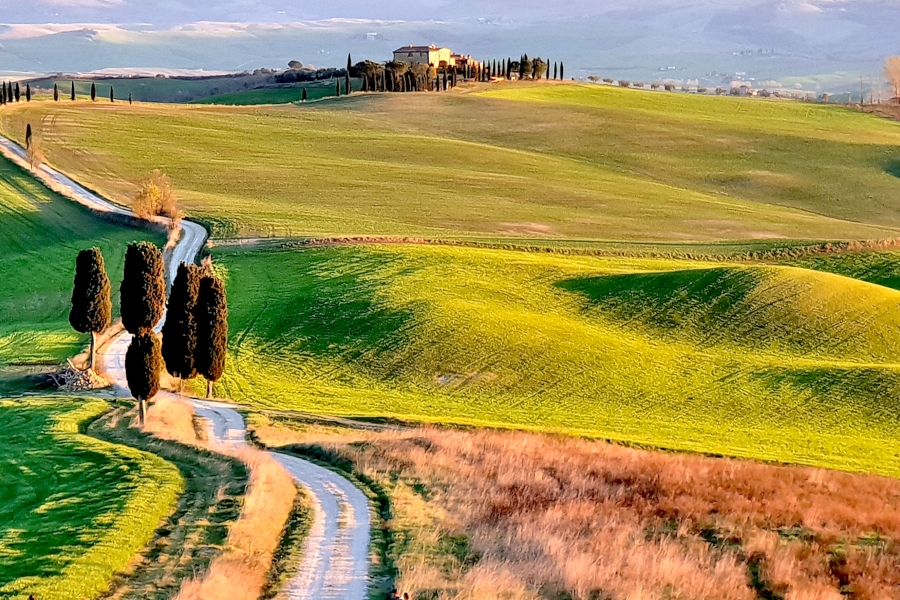 Off Road in Toscana